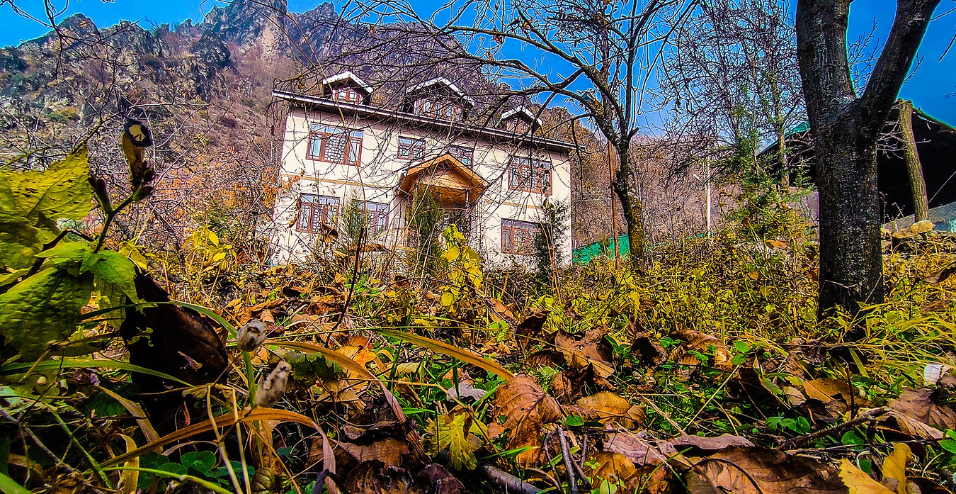 Cherry Tree Resort photo 3